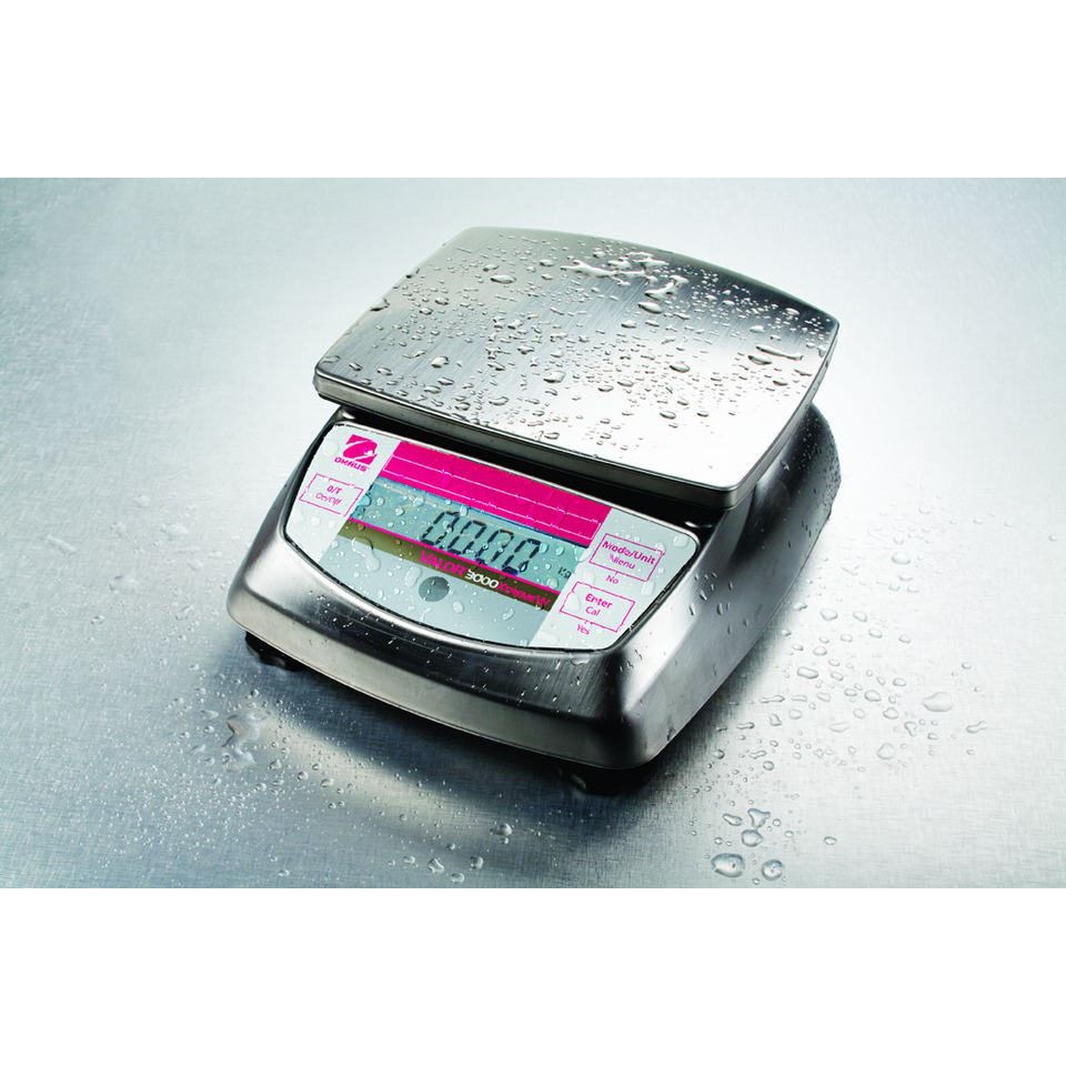 Порционные весы OHAUS Valor 3000 V31X6 фото4